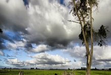 安洗莹战胜陈雨菲 勇夺法国奥尔良羽毛球大师赛女单冠军.
