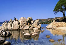 排球:解盛岩独得20分 朱星辰表现抢眼.